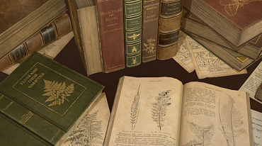 В Госдуме приняли закон о книжных памятниках